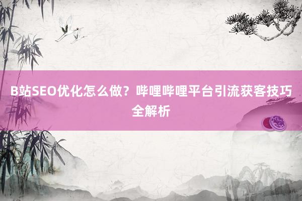 B站SEO优化怎么做？哔哩哔哩平台引流获客技巧全解析
