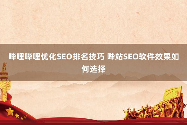 哔哩哔哩优化SEO排名技巧 哔站SEO软件效果如何选择