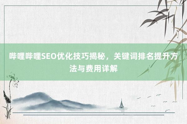 哔哩哔哩SEO优化技巧揭秘，关键词排名提升方法与费用详解