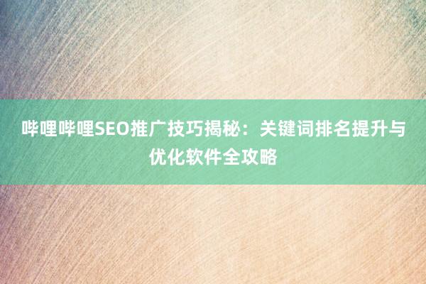 哔哩哔哩SEO推广技巧揭秘：关键词排名提升与优化软件全攻略