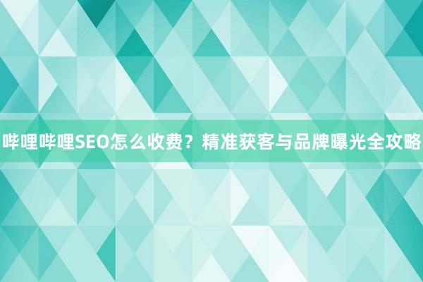哔哩哔哩SEO怎么收费？精准获客与品牌曝光全攻略