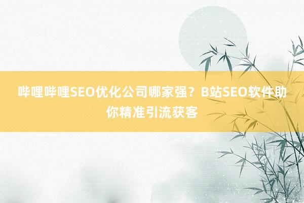 哔哩哔哩SEO优化公司哪家强？B站SEO软件助你精准引流获客