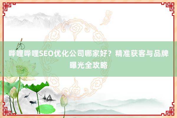 哔哩哔哩SEO优化公司哪家好？精准获客与品牌曝光全攻略