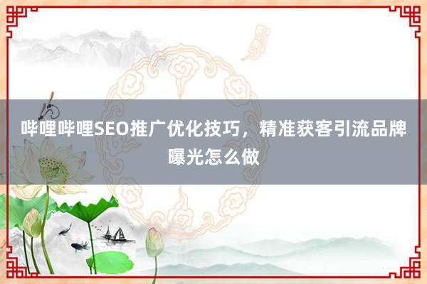 哔哩哔哩SEO推广优化技巧，精准获客引流品牌曝光怎么做