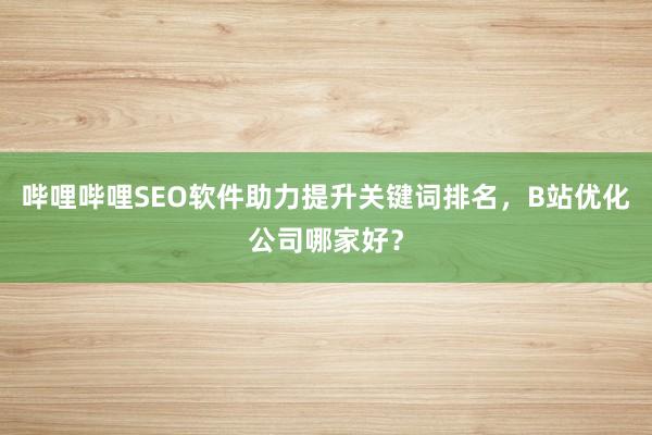 哔哩哔哩SEO软件助力提升关键词排名，B站优化公司哪家好？