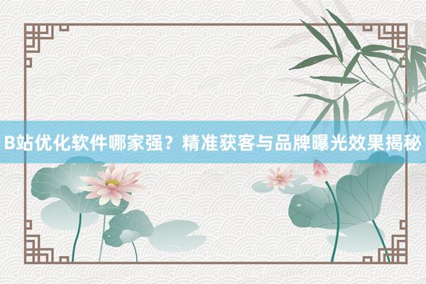 B站优化软件哪家强？精准获客与品牌曝光效果揭秘