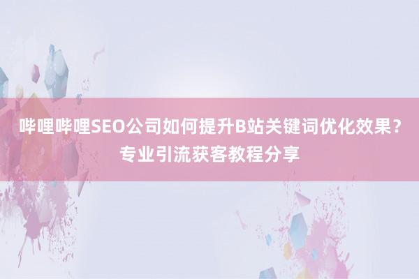 哔哩哔哩SEO公司如何提升B站关键词优化效果？专业引流获客教程分享