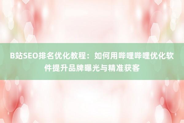 B站SEO排名优化教程：如何用哔哩哔哩优化软件提升品牌曝光与精准获客