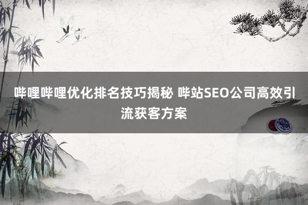哔哩哔哩优化排名技巧揭秘 哔站SEO公司高效引流获客方案
