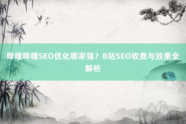 哔哩哔哩SEO优化哪家强？B站SEO收费与效果全解析