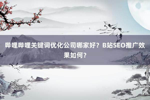 哔哩哔哩关键词优化公司哪家好？B站SEO推广效果如何？