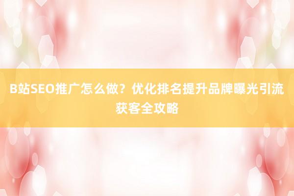 B站SEO推广怎么做？优化排名提升品牌曝光引流获客全攻略
