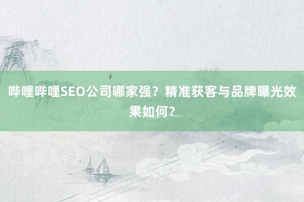 哔哩哔哩SEO公司哪家强？精准获客与品牌曝光效果如何？