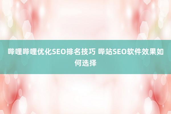 哔哩哔哩优化SEO排名技巧 哔站SEO软件效果如何选择