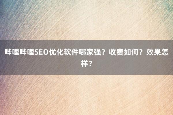 哔哩哔哩SEO优化软件哪家强？收费如何？效果怎样？