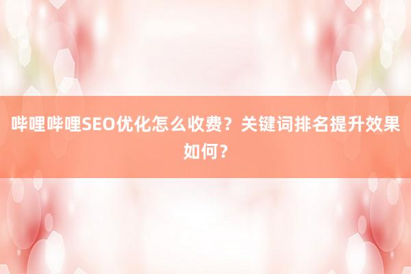哔哩哔哩SEO优化怎么收费？关键词排名提升效果如何？