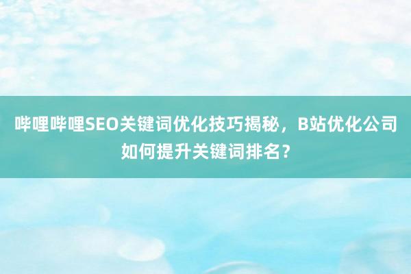 哔哩哔哩SEO关键词优化技巧揭秘，B站优化公司如何提升关键词排名？
