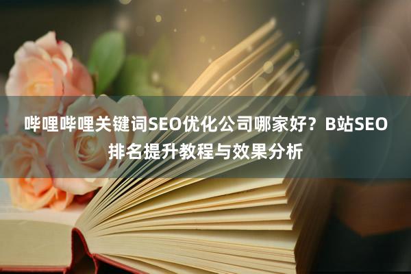 哔哩哔哩关键词SEO优化公司哪家好？B站SEO排名提升教程与效果分析