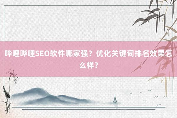 哔哩哔哩SEO软件哪家强？优化关键词排名效果怎么样？