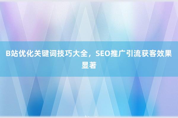B站优化关键词技巧大全，SEO推广引流获客效果显著