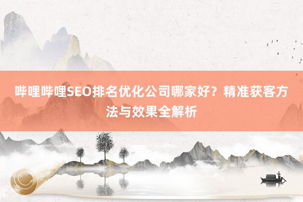 哔哩哔哩SEO排名优化公司哪家好？精准获客方法与效果全解析