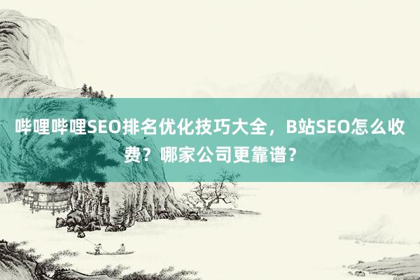 哔哩哔哩SEO排名优化技巧大全，B站SEO怎么收费？哪家公司更靠谱？