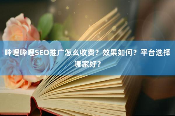 哔哩哔哩SEO推广怎么收费？效果如何？平台选择哪家好？