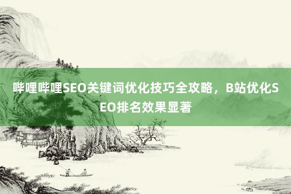 哔哩哔哩SEO关键词优化技巧全攻略，B站优化SEO排名效果显著
