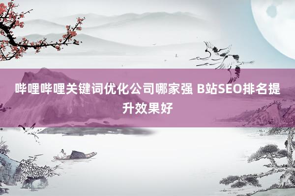 哔哩哔哩关键词优化公司哪家强 B站SEO排名提升效果好