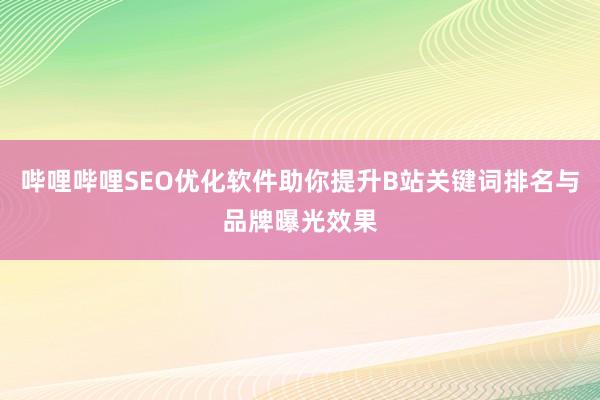 哔哩哔哩SEO优化软件助你提升B站关键词排名与品牌曝光效果