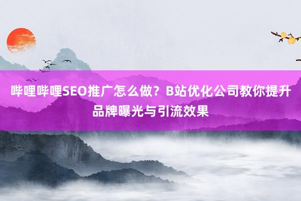 哔哩哔哩SEO推广怎么做？B站优化公司教你提升品牌曝光与引流效果