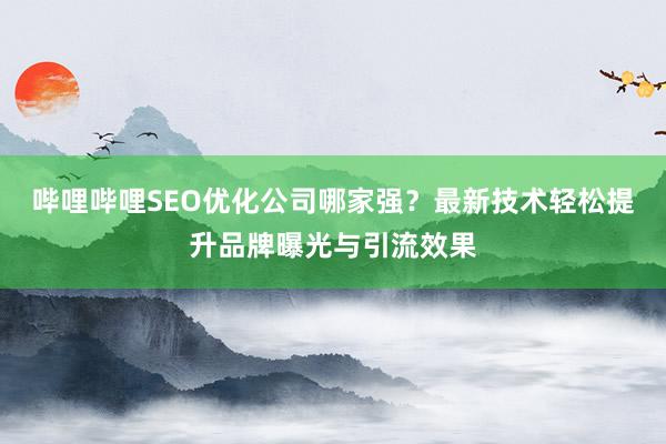 哔哩哔哩SEO优化公司哪家强？最新技术轻松提升品牌曝光与引流效果