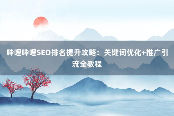 哔哩哔哩SEO排名提升攻略：关键词优化+推广引流全教程