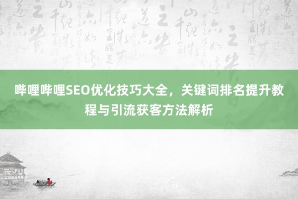 哔哩哔哩SEO优化技巧大全，关键词排名提升教程与引流获客方法解析