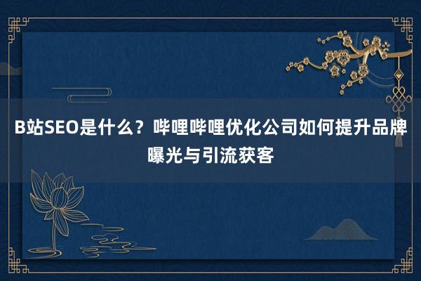 B站SEO是什么？哔哩哔哩优化公司如何提升品牌曝光与引流获客