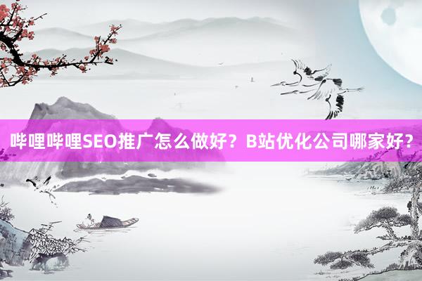 哔哩哔哩SEO推广怎么做好？B站优化公司哪家好？