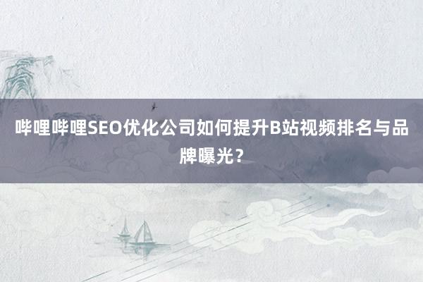 哔哩哔哩SEO优化公司如何提升B站视频排名与品牌曝光？