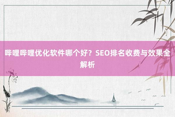 哔哩哔哩优化软件哪个好？SEO排名收费与效果全解析