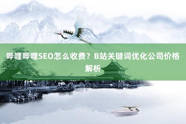 哔哩哔哩SEO怎么收费？B站关键词优化公司价格解析