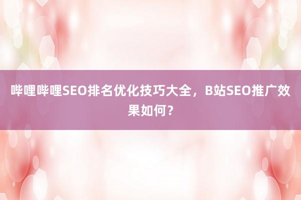 哔哩哔哩SEO排名优化技巧大全，B站SEO推广效果如何？