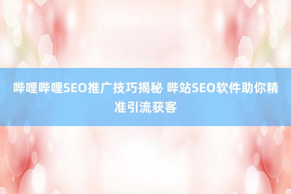 哔哩哔哩SEO推广技巧揭秘 哔站SEO软件助你精准引流获客