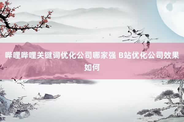 哔哩哔哩关键词优化公司哪家强 B站优化公司效果如何