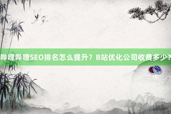 哔哩哔哩SEO排名怎么提升？B站优化公司收费多少？