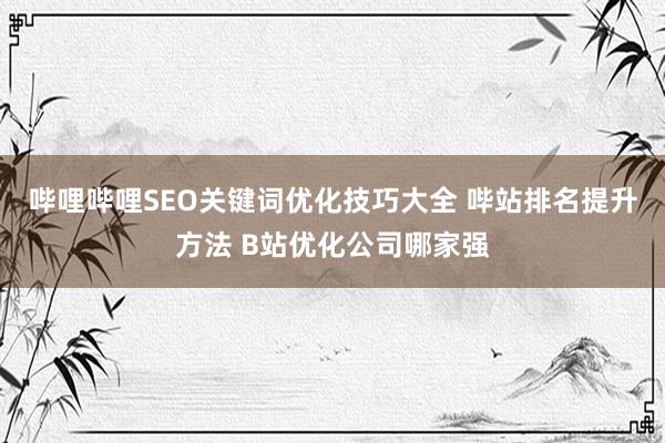 哔哩哔哩SEO关键词优化技巧大全 哔站排名提升方法 B站优化公司哪家强