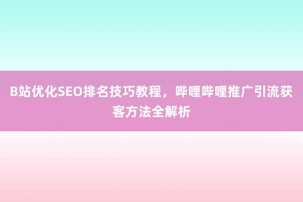 B站优化SEO排名技巧教程，哔哩哔哩推广引流获客方法全解析