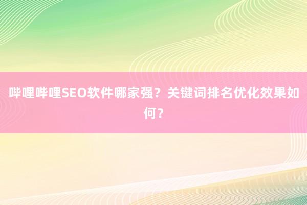 哔哩哔哩SEO软件哪家强？关键词排名优化效果如何？