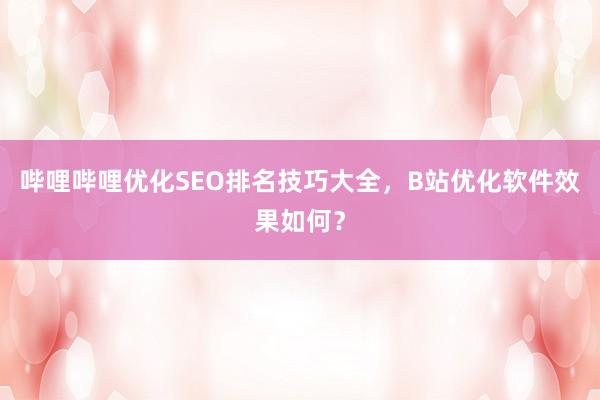 哔哩哔哩优化SEO排名技巧大全，B站优化软件效果如何？
