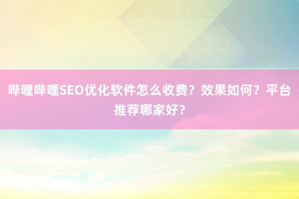 哔哩哔哩SEO优化软件怎么收费？效果如何？平台推荐哪家好？