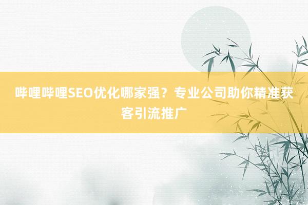哔哩哔哩SEO优化哪家强？专业公司助你精准获客引流推广