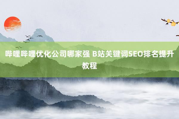 哔哩哔哩优化公司哪家强 B站关键词SEO排名提升教程